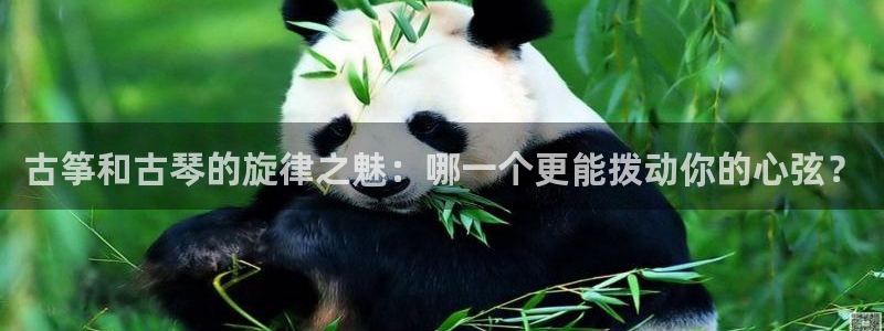 凯发官方在线