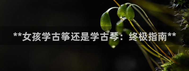 凯发官网手机app