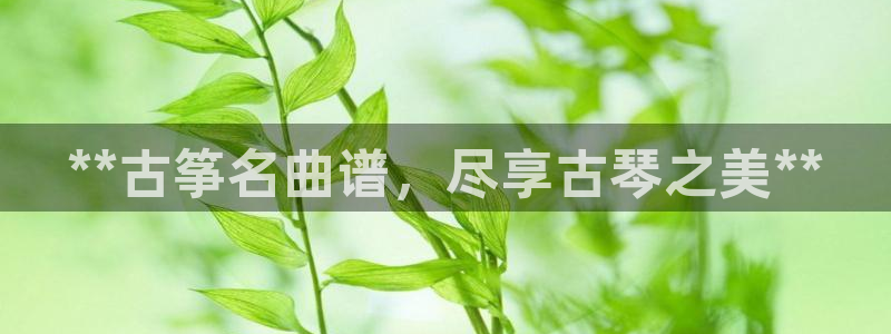 凯发k8娱乐手机版官网