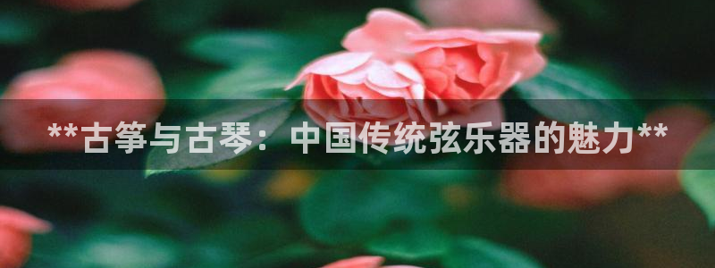凯发官网入口首页