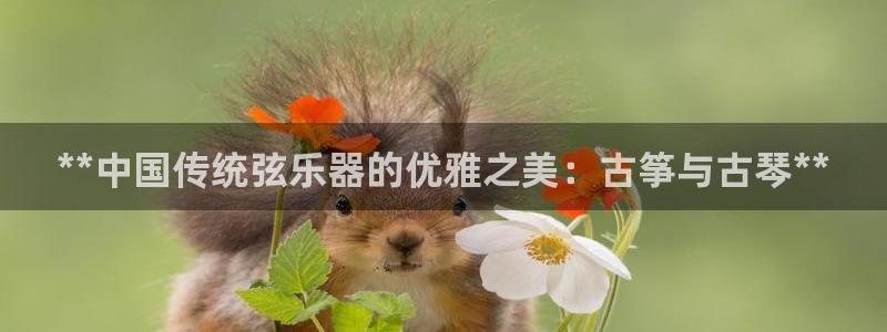 凯发k8娱乐官网手机端中心