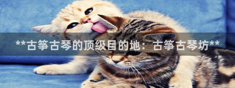 凯发手机唯一