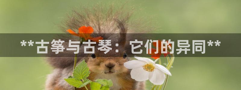凯发唯一官方网站