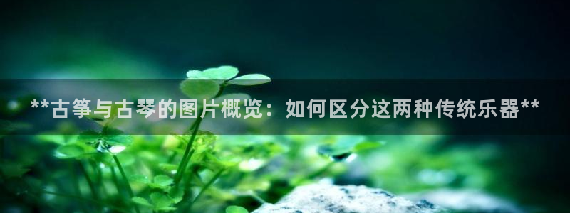 凯发k8娱乐倒闭了吗