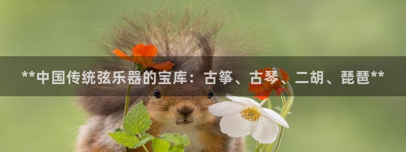 凯发官网下载客户端