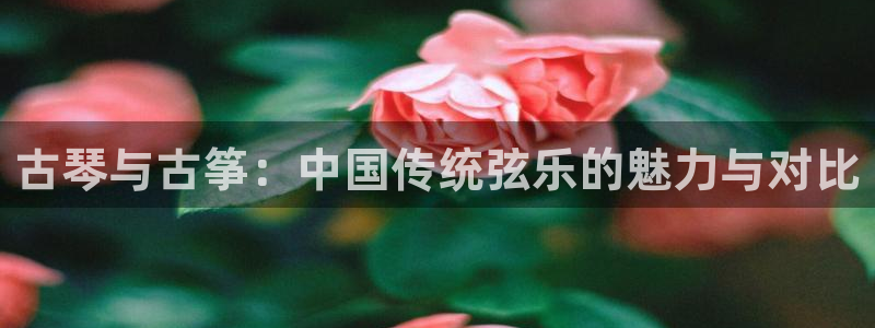 凯发官网网址多少