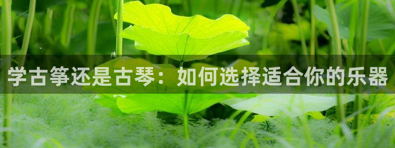 凯发k8娱乐要访问kf6819