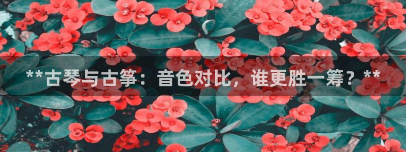 凯发k8ag85856