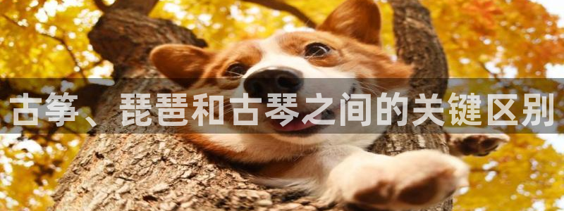 凯发k8娱乐是什么平台