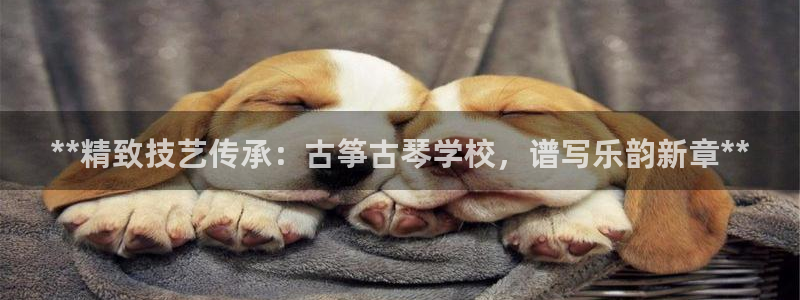 凯发官网入口首页