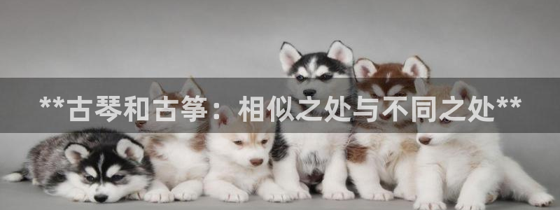 凯发k8手机网页