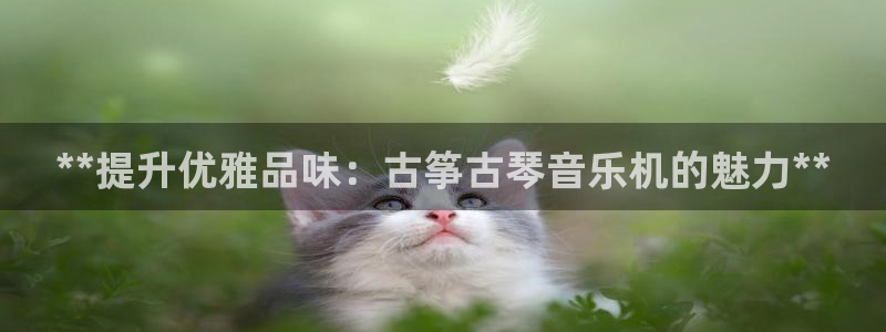 凯发k8是真是假