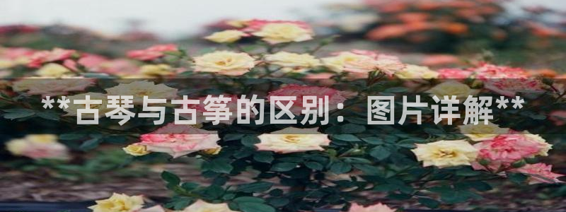 k8凯发官方找就送38