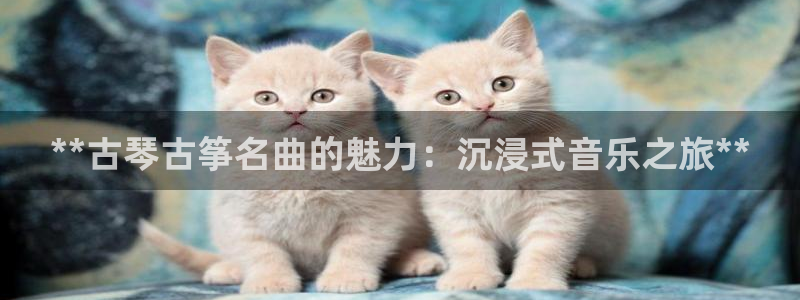 凯发k8官方网娱乐官方