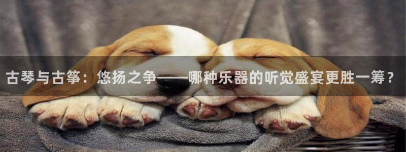 凯发k8国际真人版安全送38元