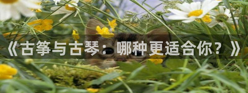 凯发国际网站