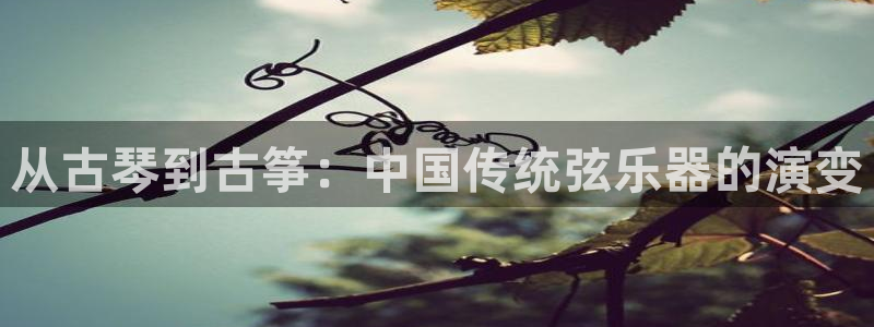 凯发k8娱乐