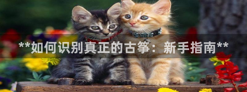 凯发国际网站