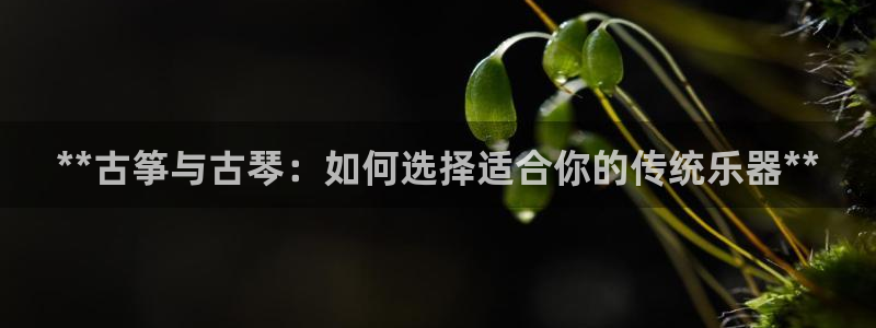 凯发k8娱乐网址多少