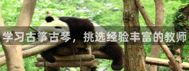 凯发官方首页