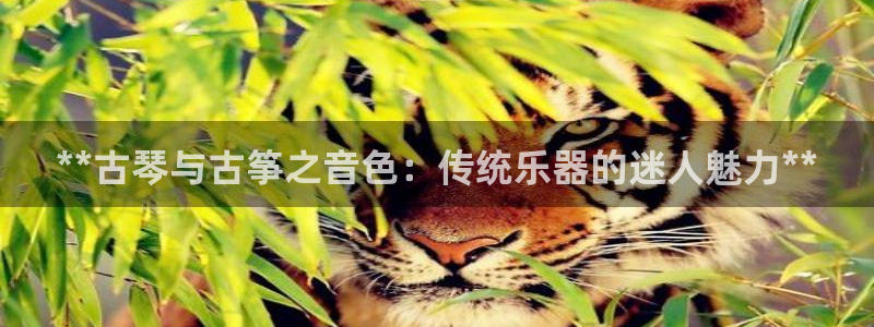 凯发官网网址多少