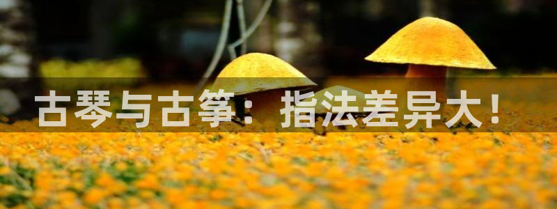 凯发网址直营