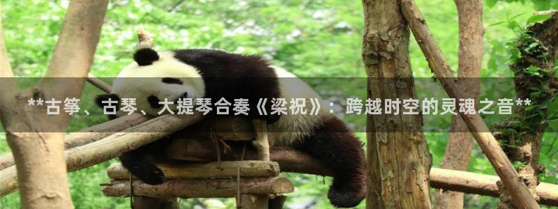 凯发平台敌7O777
