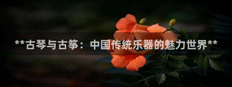 凯发官网平台