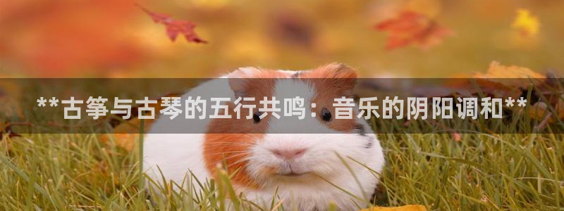 凯发k8是不是真的可靠