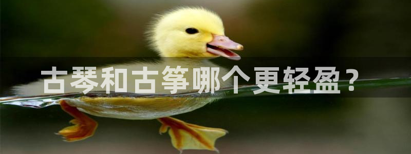 凯发k8客户端
