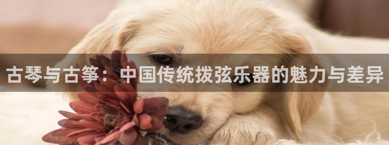 凯发k8娱乐
