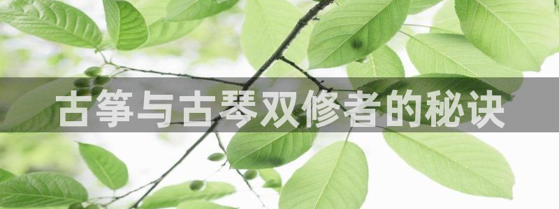 凯发国际是什么投资平台