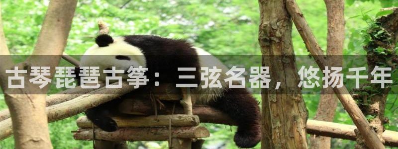 凯发平台8