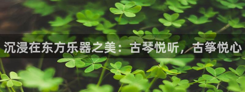 凯发网娱乐官网国际