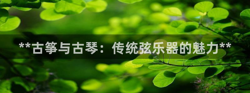凯发网站是多少