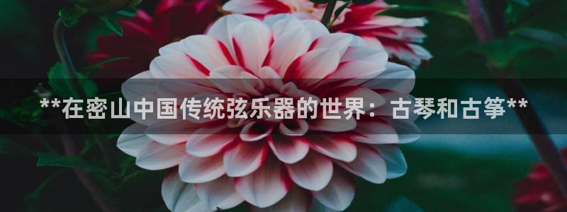 凯发娱乐唯一官网