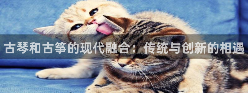 凯发app是干嘛的