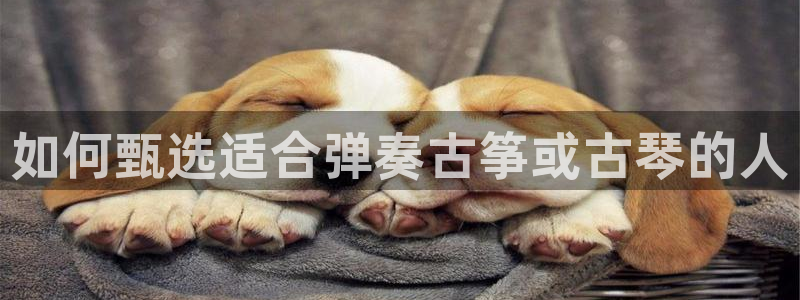 凯发k8旗舰厅手机app下载