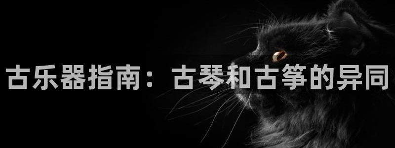 凯发国际网址官网