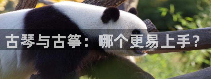 凯发国际平台app