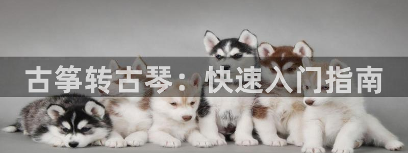 凯发k8官网下载客户端中心