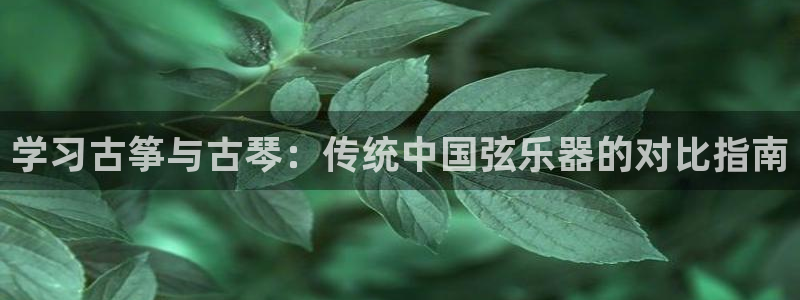 凯发k8娱乐平台下载