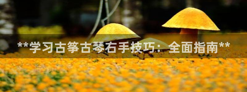 凯发k8国际下载
