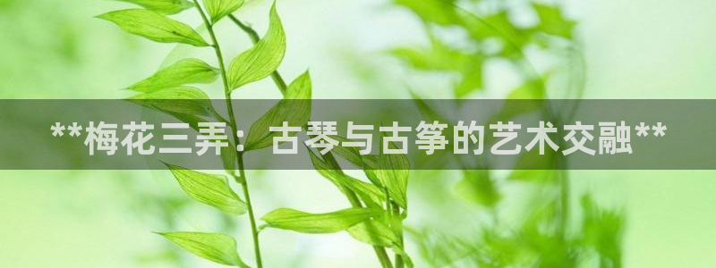 凯发k8娱乐要访问kf6819