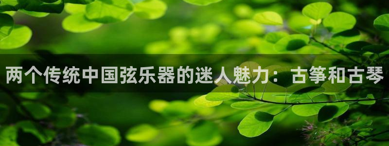 凯发k8国际下载