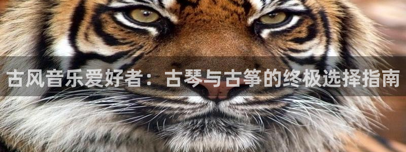 凯发官网入口首页