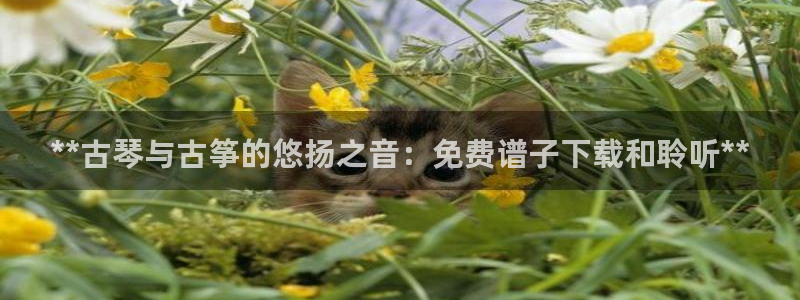 凯发k8旗舰厅手机下载