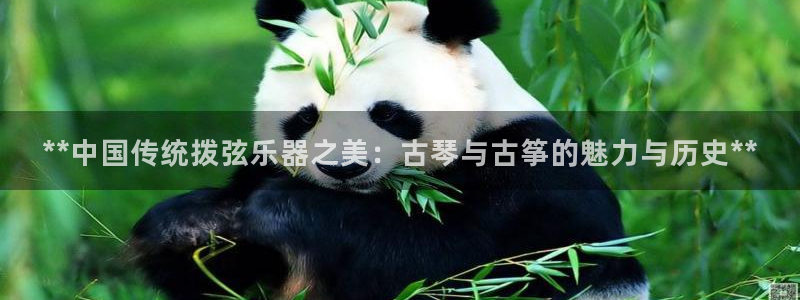 凯发k8官方网娱乐官方真
