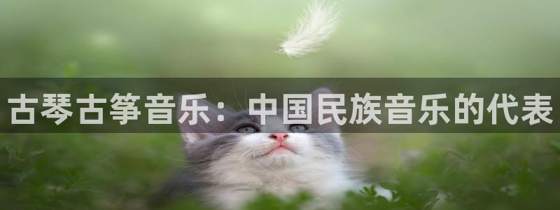 凯发k8娱乐平台能提现吗