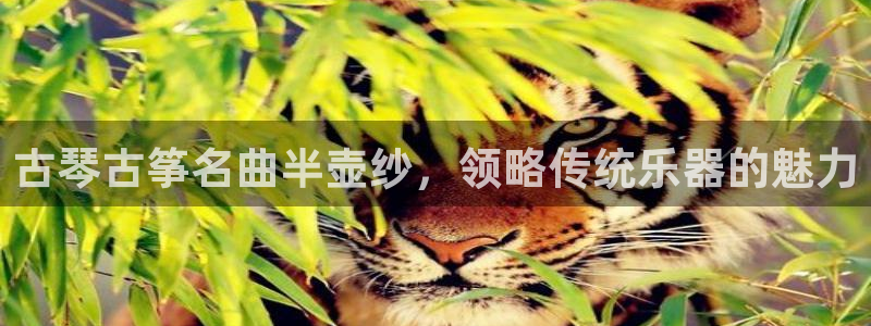 凯发平台风采
